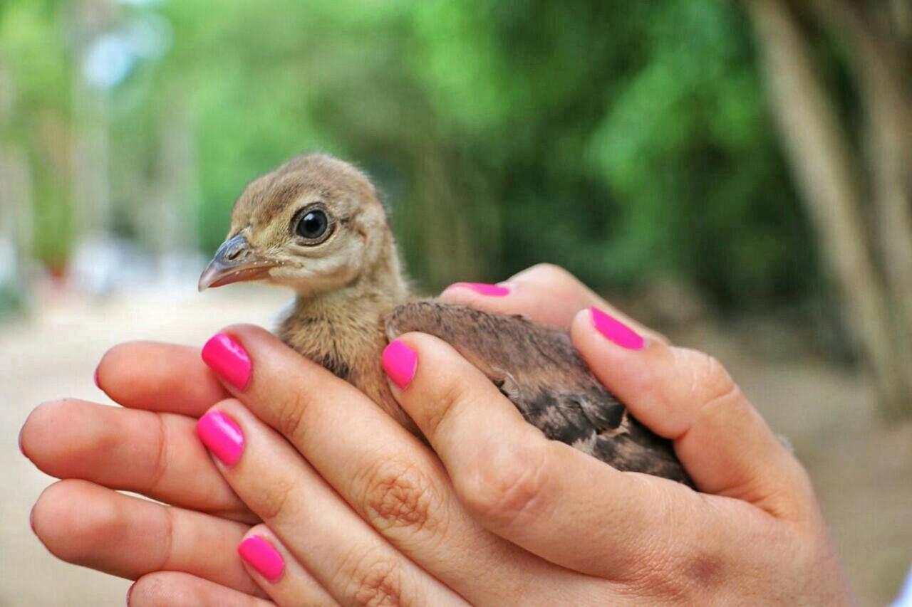 Eco Hotel Villa Martha Turbaco エクステリア 写真